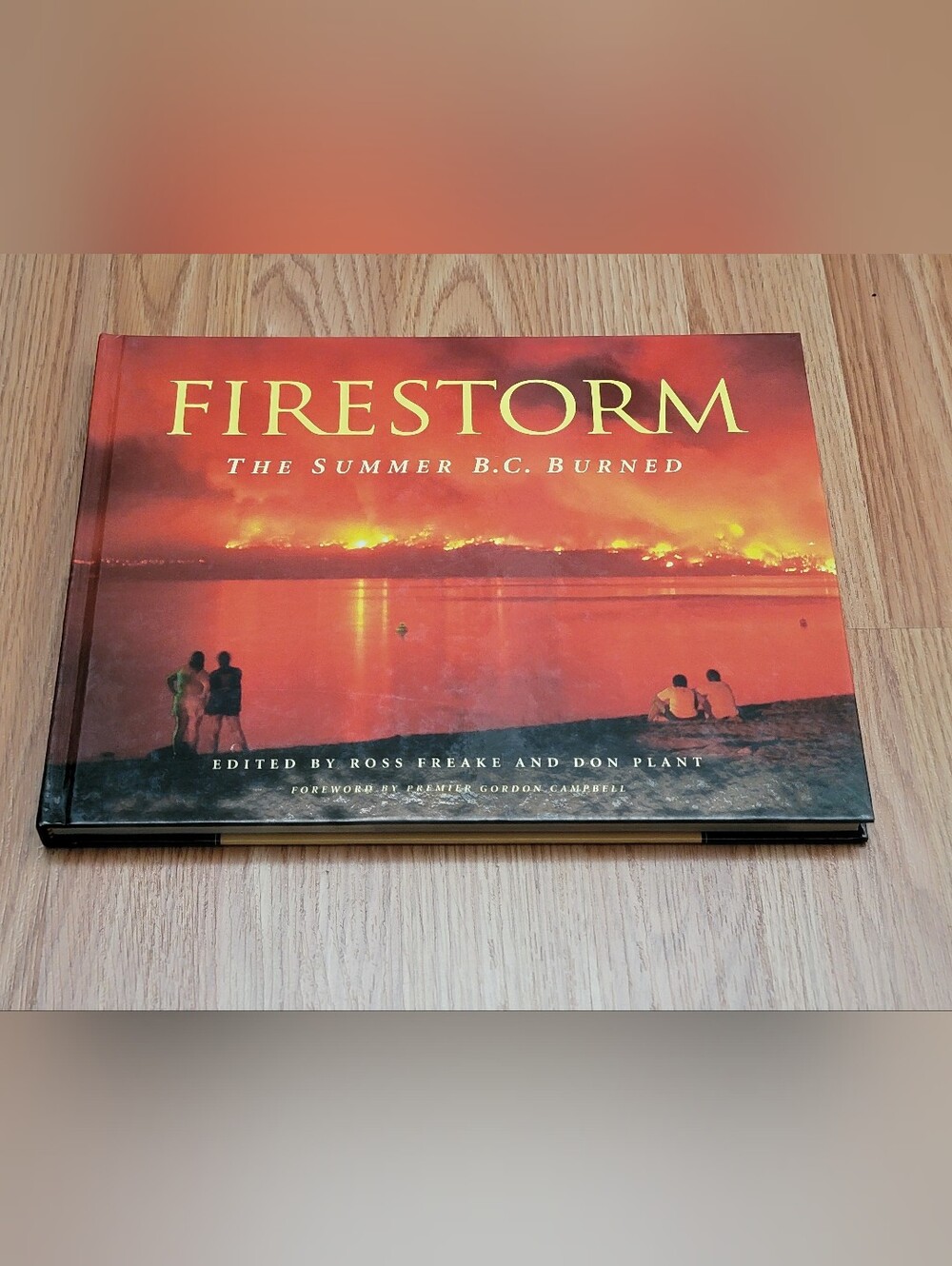 FIRESTORM The Summer BC Burned